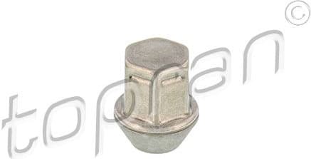 Wheel Nut 304 595