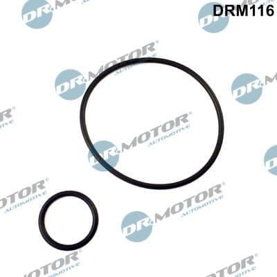 Gasket Set, intake manifold DRM116