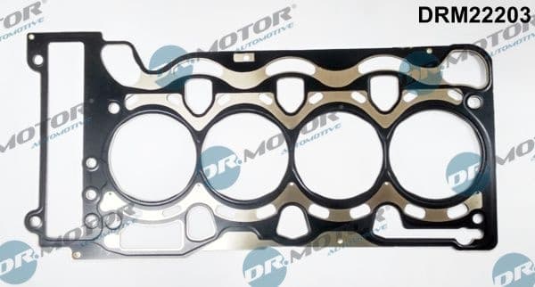 Gasket, cylinder head DRM22203