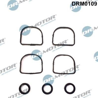Gasket Set, intake manifold DRM0109