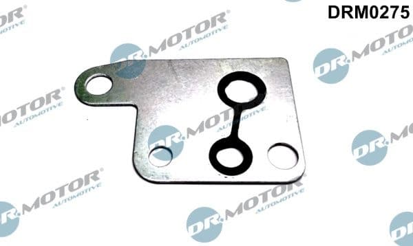 Gasket, vacuum pump DRM0275