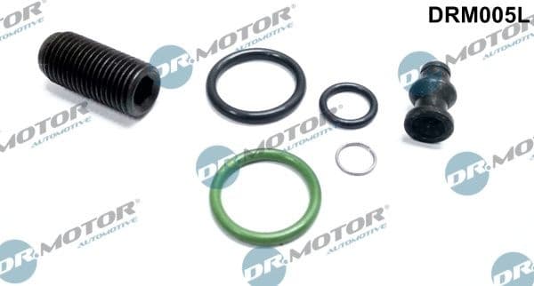 Repair Kit, unit injector DRM005L