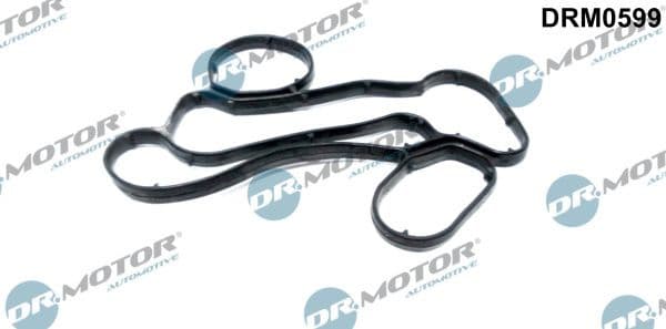 Gasket, oil filter housing DRM0599