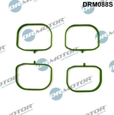 Gasket Set, intake manifold DRM088S