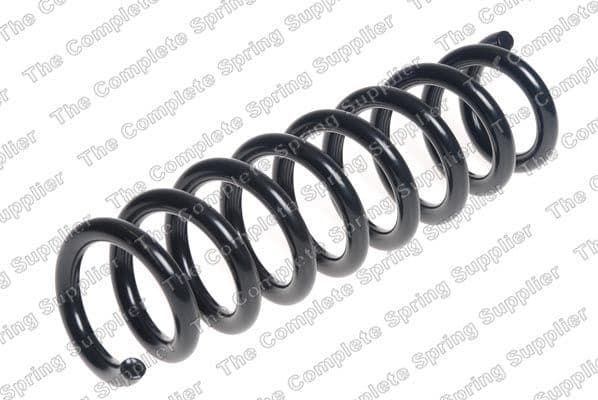 Suspension Spring 4208491