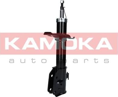 Shock Absorber 2000165