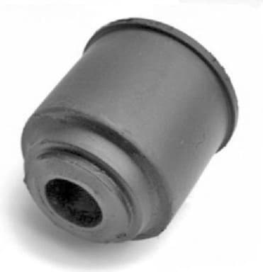 Mounting, control/trailing arm 00505315