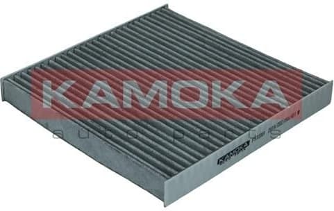 Filter, cabin air F513301