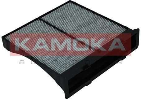 Filter, cabin air F519801