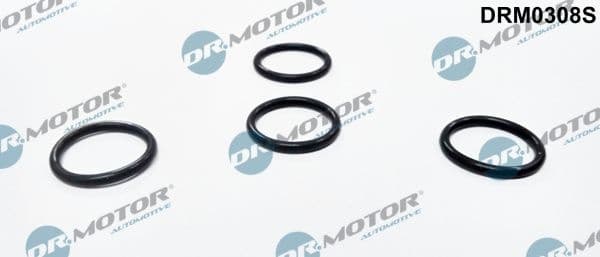 Seal Ring, injector DRM0308S