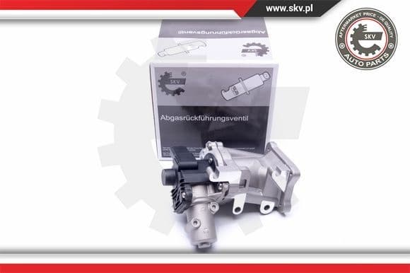 EGR Valve 14SKV171