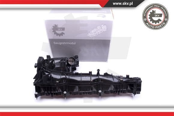 Intake Manifold Module 49SKV019