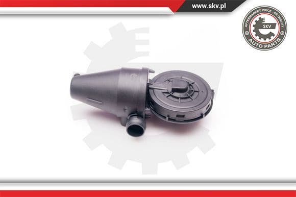 Valve, crankcase ventilation 31SKV038