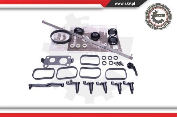 Repair Kit, intake manifold module 49SKV506