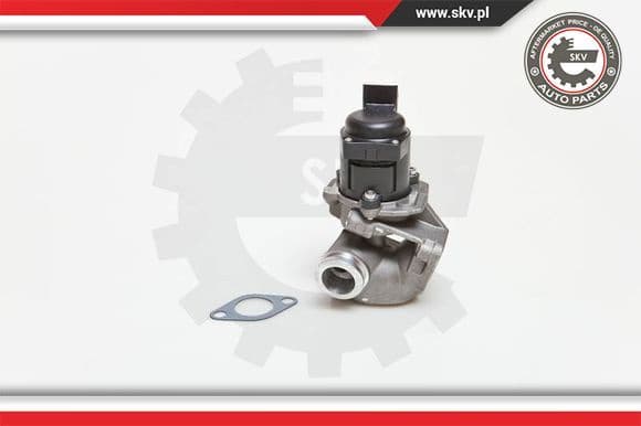 EGR Valve 14SKV028