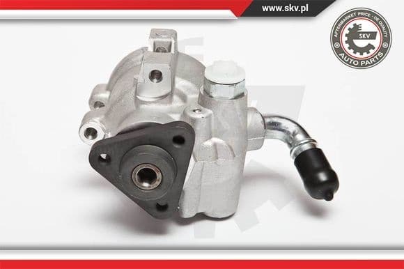 Hydraulic Pump, steering 10SKV041