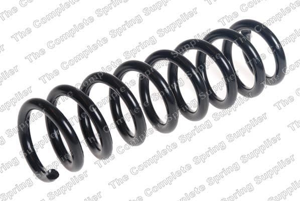 Suspension Spring 4208507