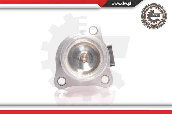 EGR Valve 14SKV010