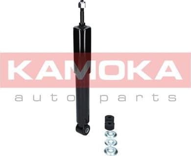 Shock Absorber 2001008