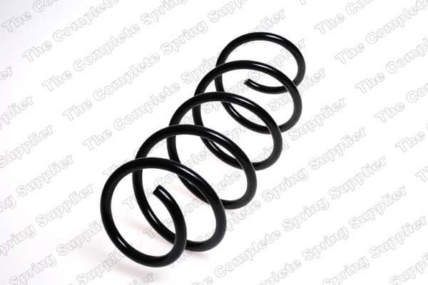 Suspension Spring 4026181