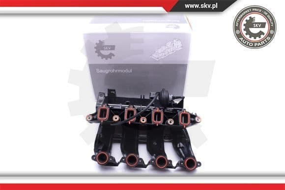 Intake Manifold Module 49SKV017