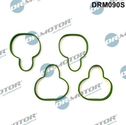 Gasket Set, intake manifold DRM090S