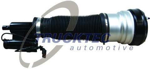 Air Suspension Strut 02.30.381