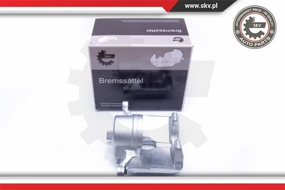 Brake Caliper 42SKV202