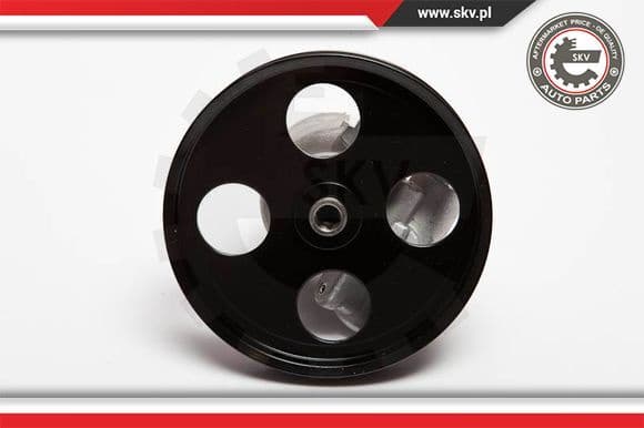 Hydraulic Pump, steering 10SKV069