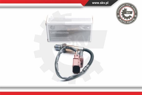 Oxygen Sensor 09SKV871