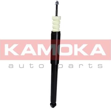Shock Absorber 2000895