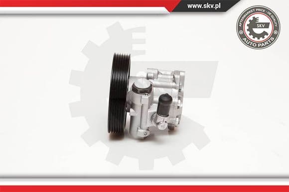 Hydraulic Pump, steering 10SKV100 - image 2