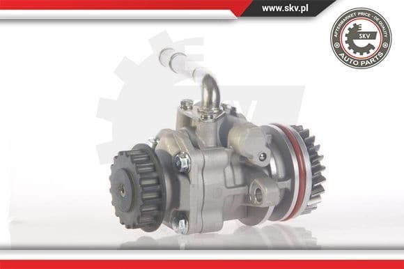 Hydraulic Pump, steering 10SKV131