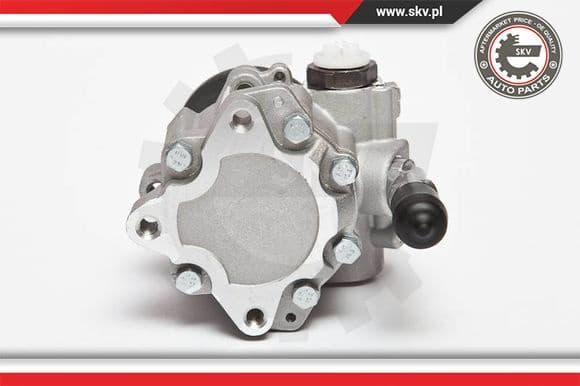 Hydraulic Pump, steering 10SKV123 - image 2