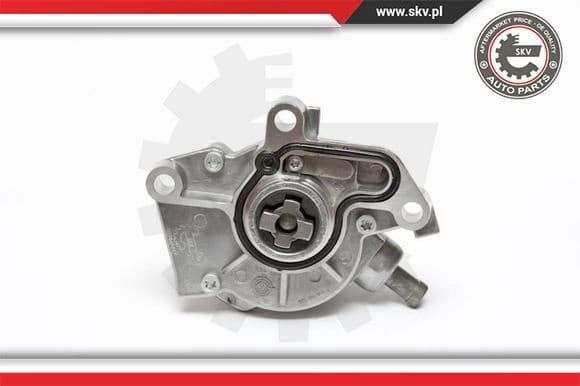 Vacuum Pump, braking system 18SKV004