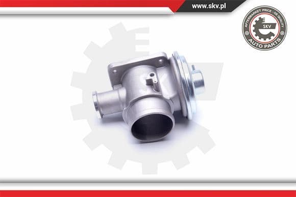 EGR Valve 14SKV179