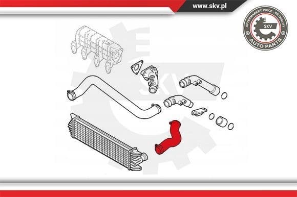 Charge Air Hose 43SKV068 - image 4