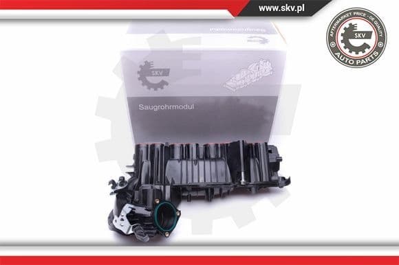 Intake Manifold Module 49SKV020