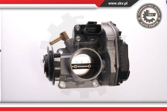 Throttle Body 12SKV014