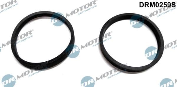 Gasket Set, intake manifold DRM0259S