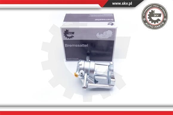 Brake Caliper 42SKV221