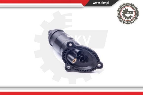 Hydraulic Filter, automatic transmission 31SKV056