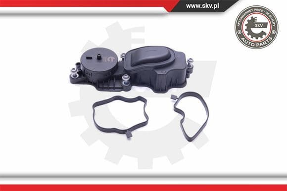 Valve, crankcase ventilation 31SKV069