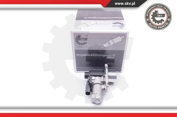 EGR Valve 14SKV170
