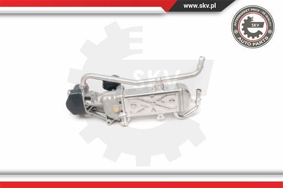 EGR Valve 14SKV095