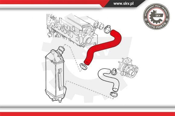 Charge Air Hose 24SKV925 - image 4