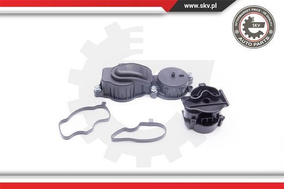 Valve, crankcase ventilation 31SKV037