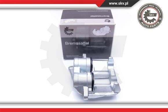 Brake Caliper 42SKV741