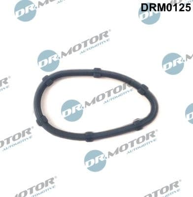 Gasket, intake manifold DRM0125