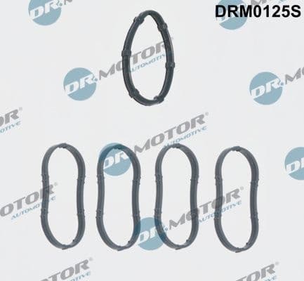 Gasket Set, intake manifold DRM0125S